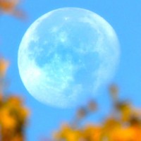 1479331933-super-fall-moon-rkb-masthead.jpg